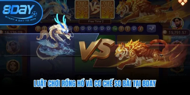 Hướng dẫn chơi Rồng Hổ 8DAY với phép so sánh đơn biến hai lá bài